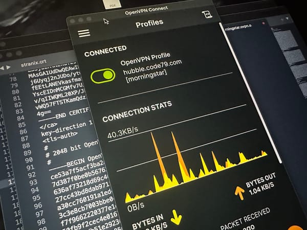 OpenVPN en Docker : Sécuriser ses services sans exposer son infra